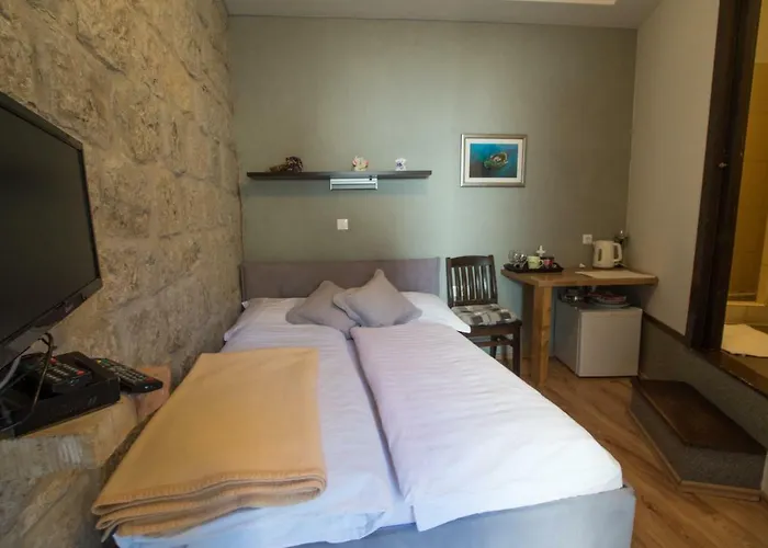 Guest house Elena 3*